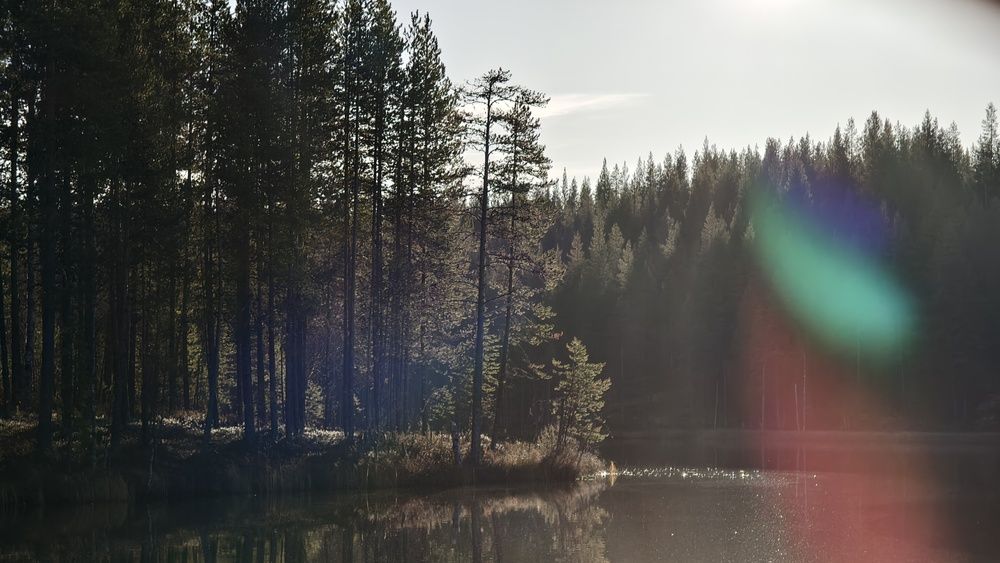 Photograph by Александр Шворнев