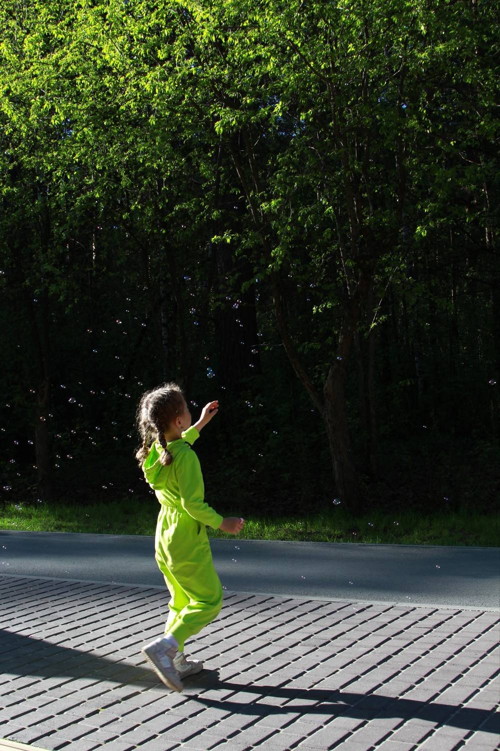 Photo #13621024