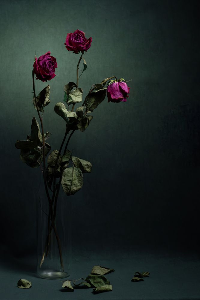 Photograph by Dina Damotseva