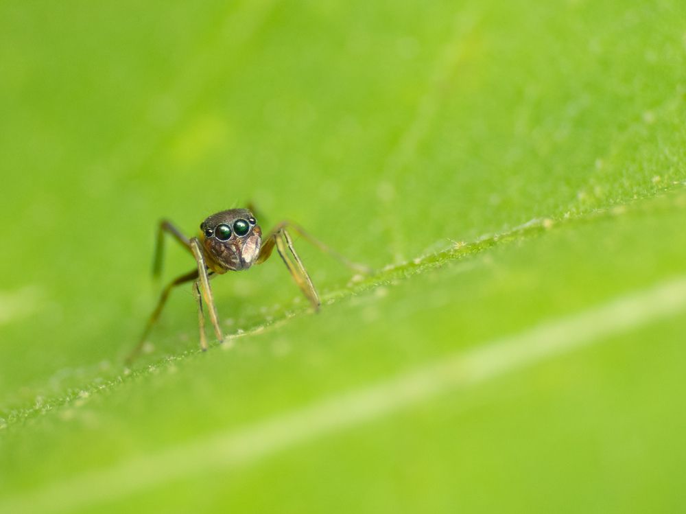 Photograph by Chowdhury Sumitava