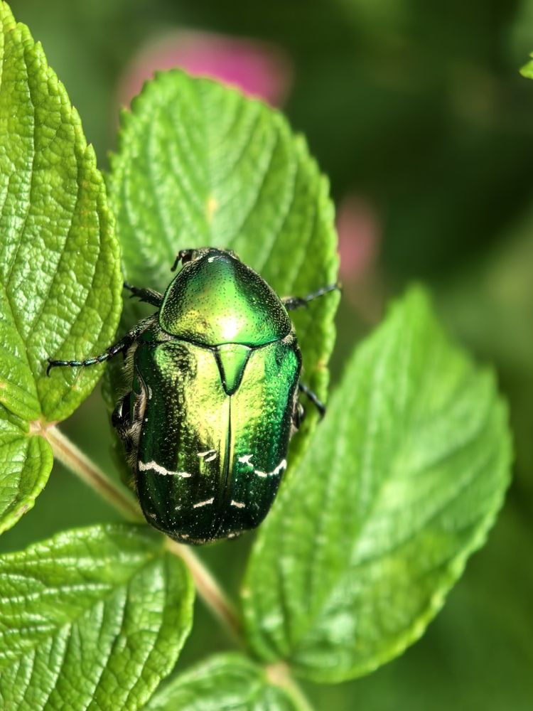 Photograph by Юлия