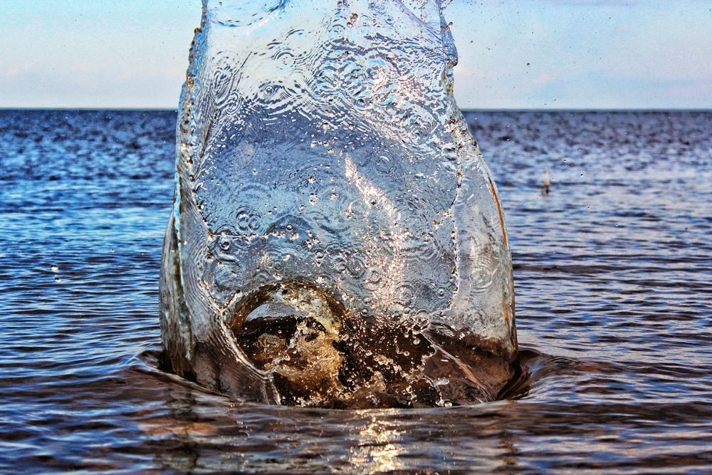 Photograph by Анна Захарчук