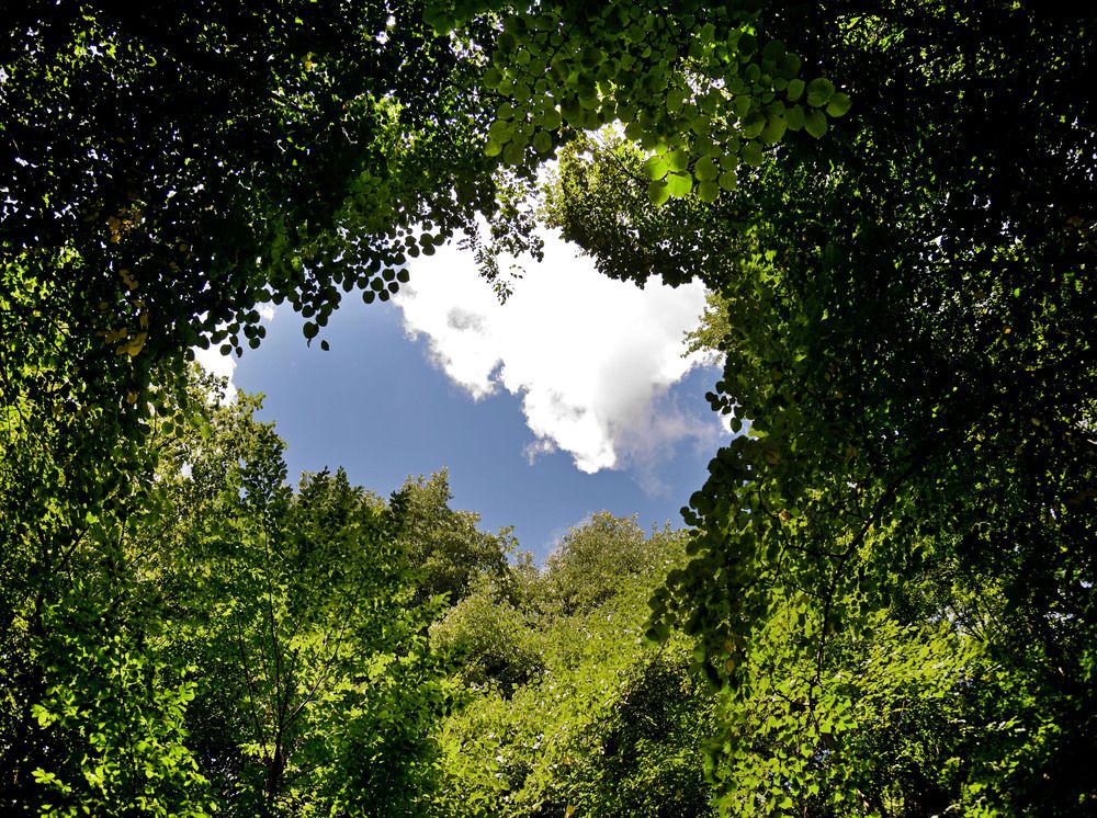 Photograph by Bekir Yesiltas