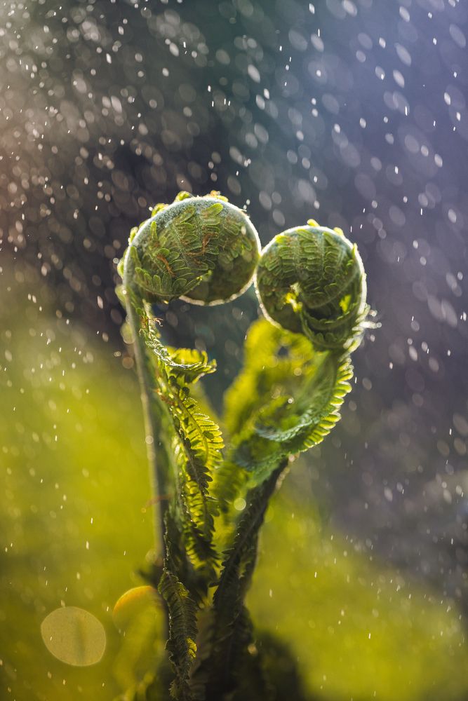 Photograph by Николай Захаров