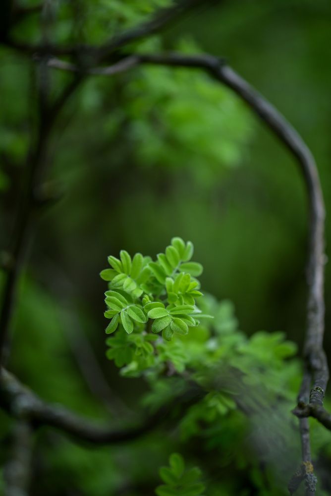 Photograph by Соварцева Ксения
