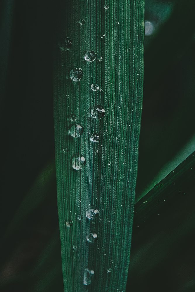 Photograph by Наталья Тополевская