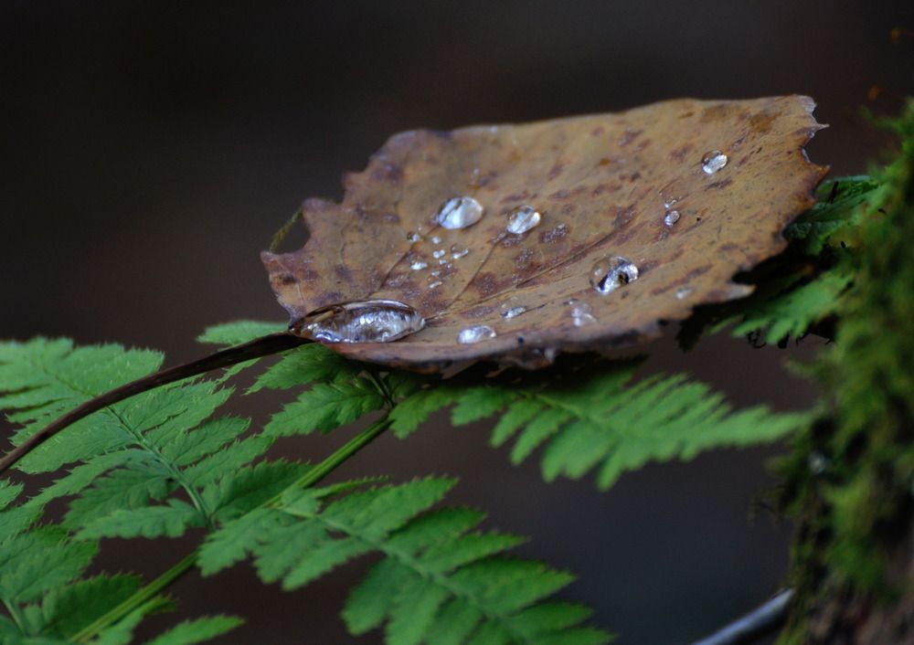 Photograph by Андрей Куликов