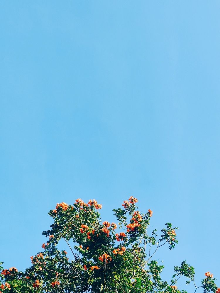 Look up!