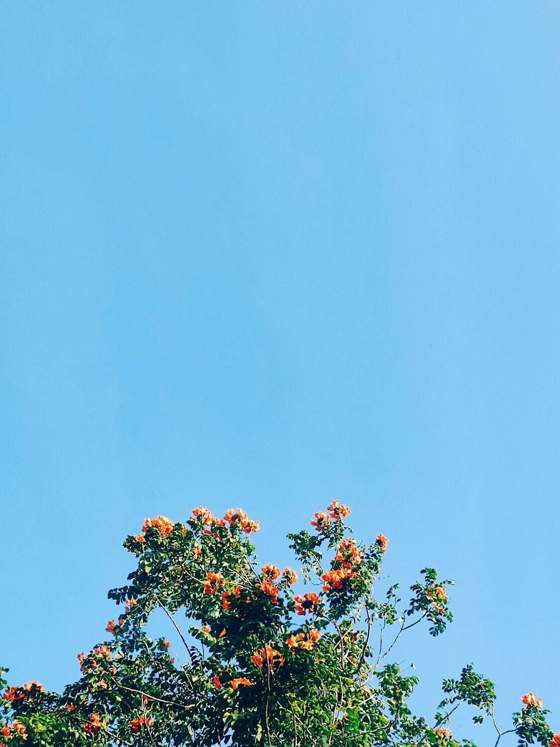 Look up!