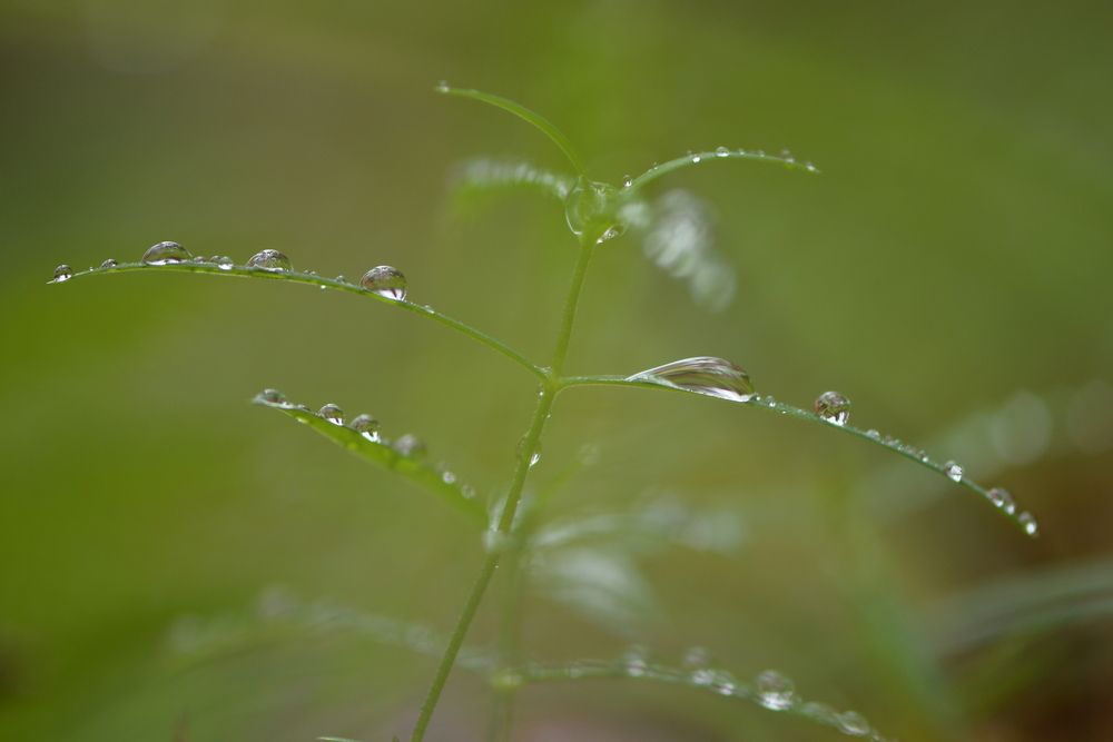 Photograph by Соварцева Ксения