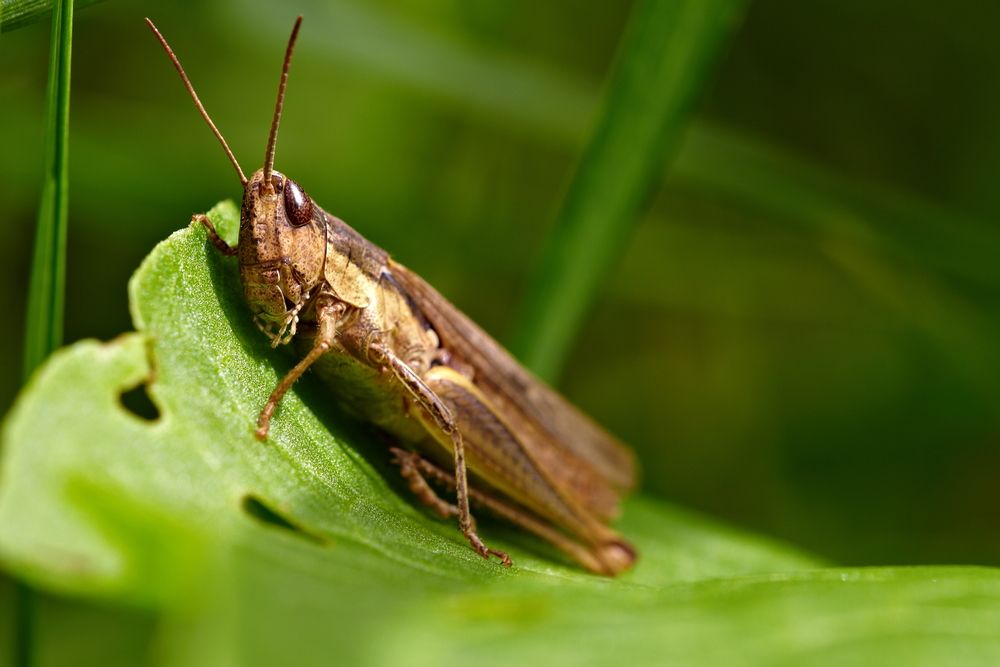 Photograph by Сергей Янголенко