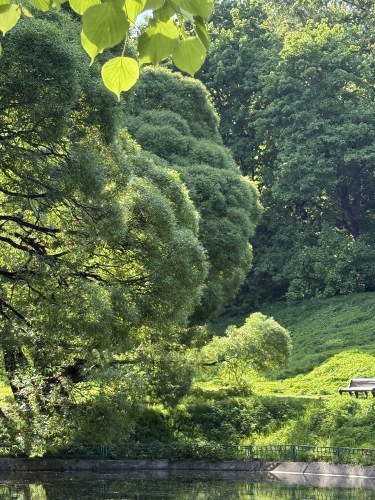 Photograph by Зинаида Сергеева