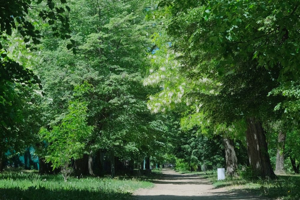 Photograph by Юлия Фёдорова