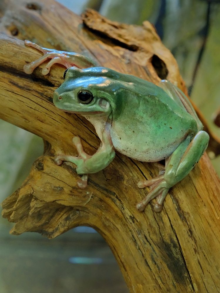 Photograph by Юлия Фёдорова
