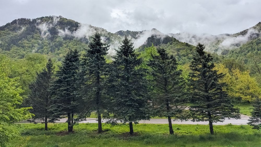 Фотография автора Анастасия Буданова