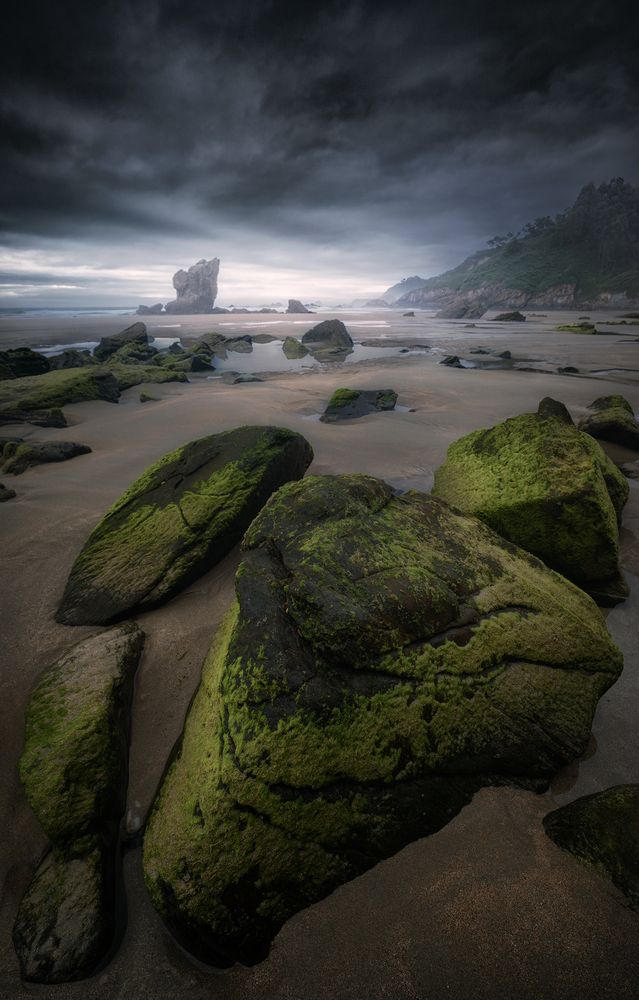 Photograph by Camacho Anto