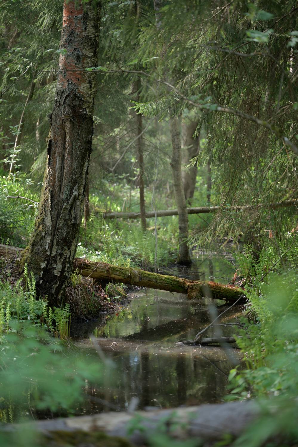 Photo #13622155