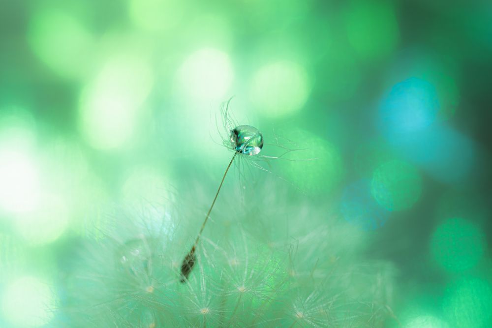 Photograph by KOHAGI