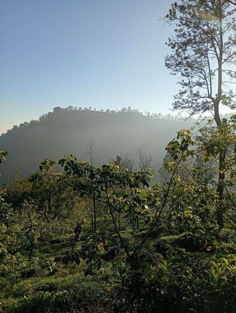 Photograph by lahiru sandaruwan
