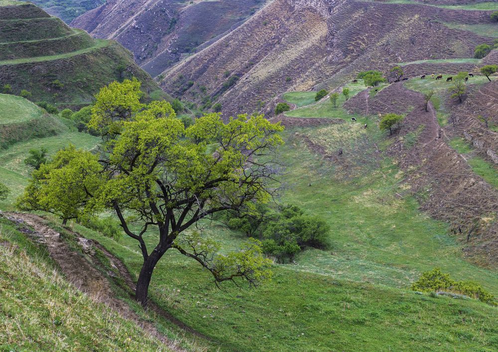Photograph by Анна Бокова