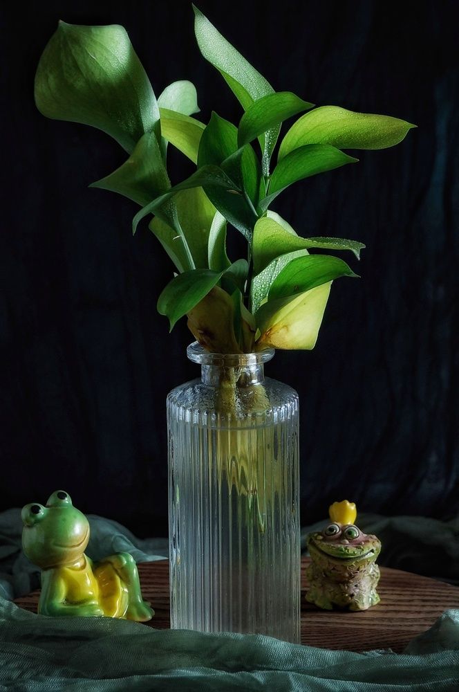 Photograph by Ирина Белозерцева