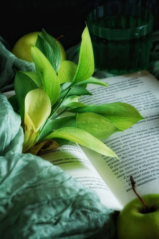 Photograph by Ирина Белозерцева