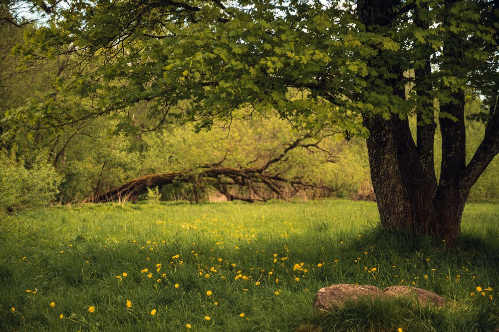 Photograph by Кончакова Дарья