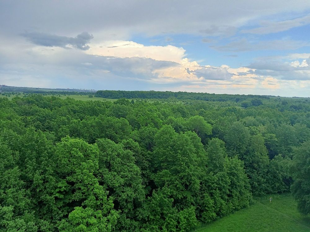 Photograph by Ольга Сергеева