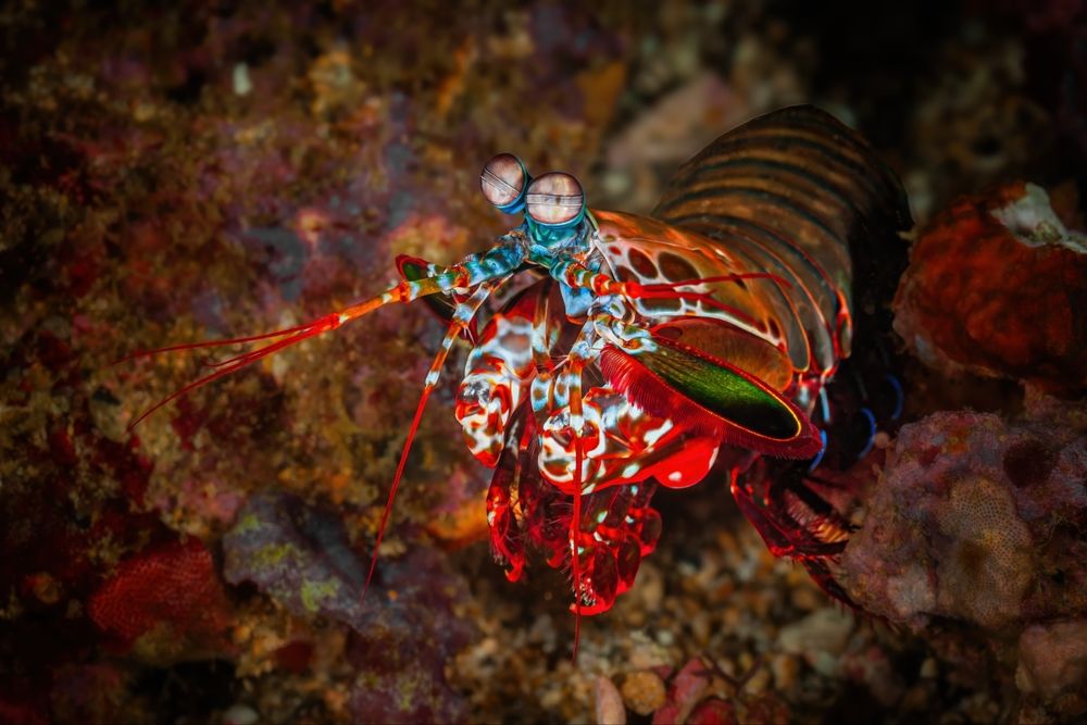 Photograph by Булгаков Сергей