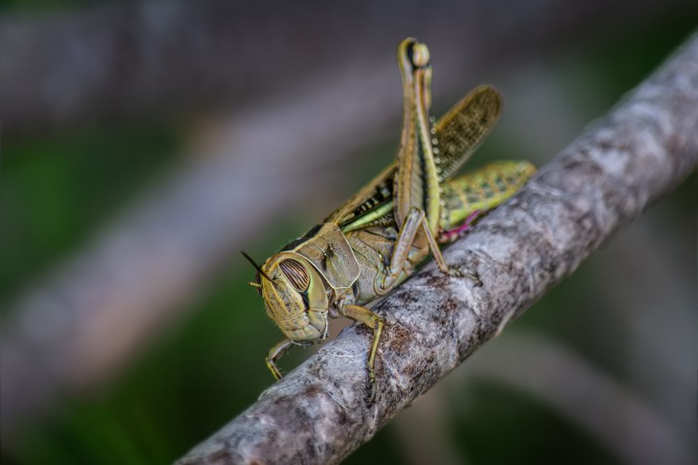 Photograph by Марина Ческис