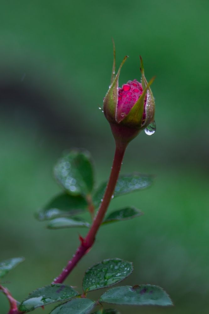 Photograph by Анастасия