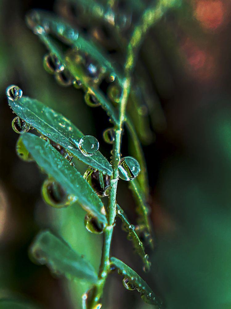 Photograph by savitri Rawat
