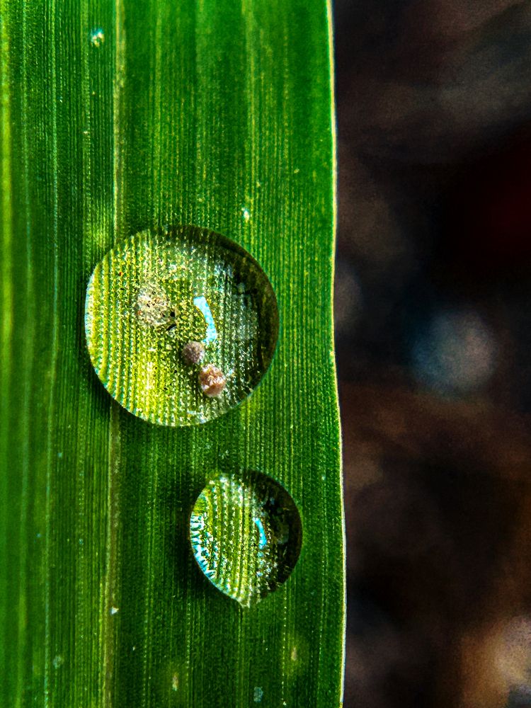 Photograph by savitri Rawat