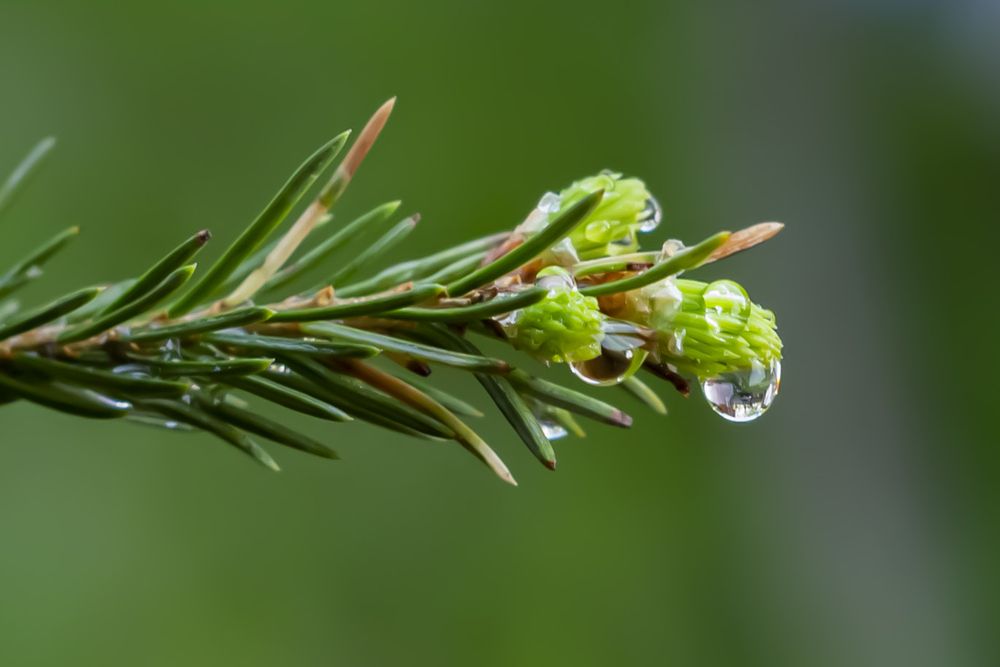 Photograph by Сергей Блохин