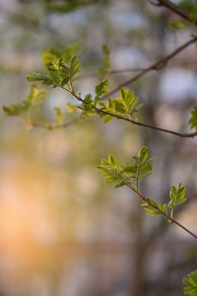 Photograph by Ирина Ященко