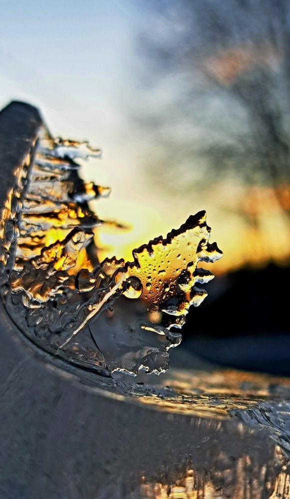 Photograph by Галина Перепечаева