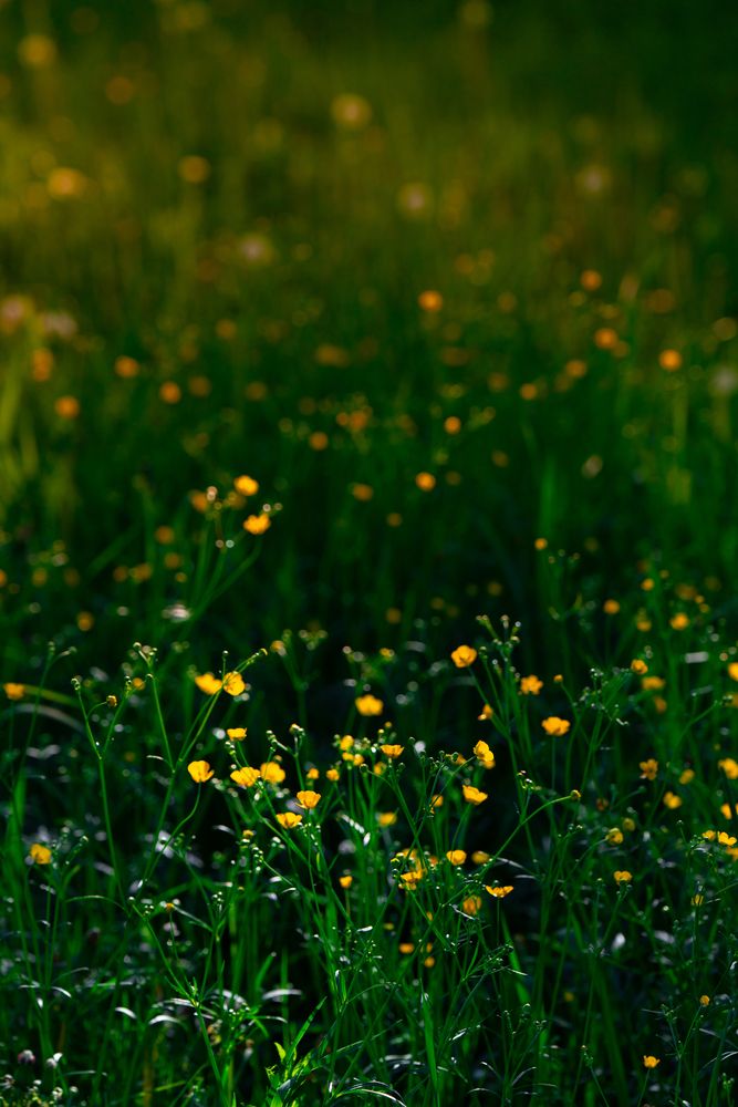 Photograph by Герман Крупенин