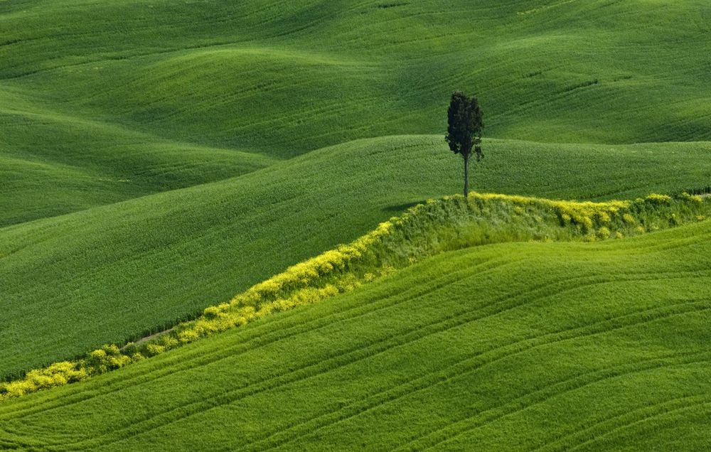 Italian Landscape