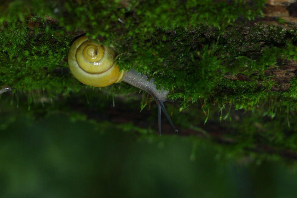 Photograph by Максим Светличный