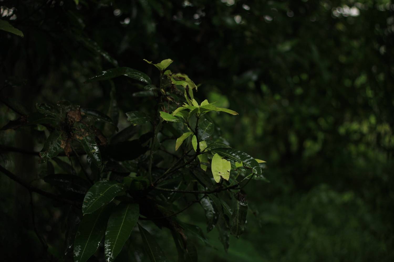 Photo #13623033