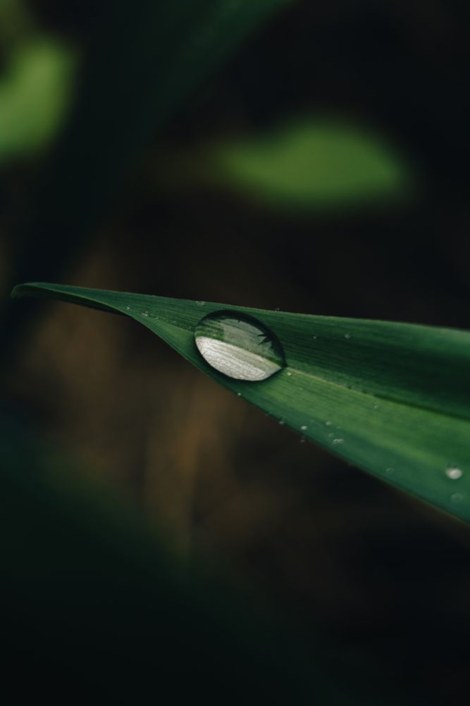 Photograph by Дмитрий Петрович