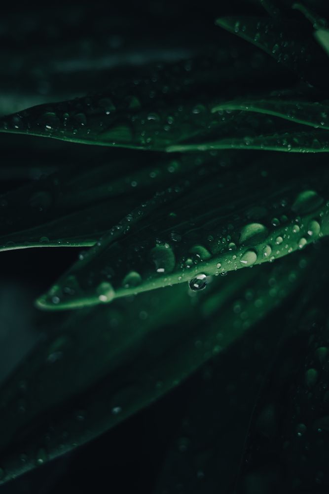 Photograph by Дмитрий Петрович