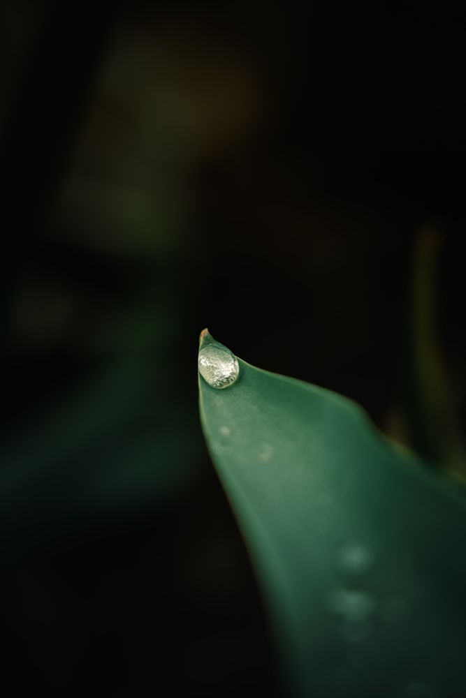 Photograph by Дмитрий Петрович