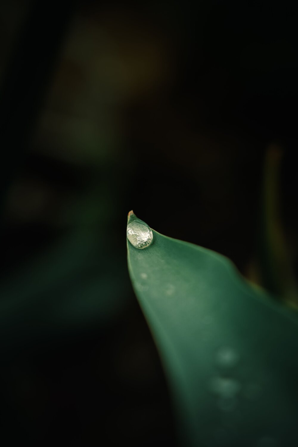 Photo #13623093