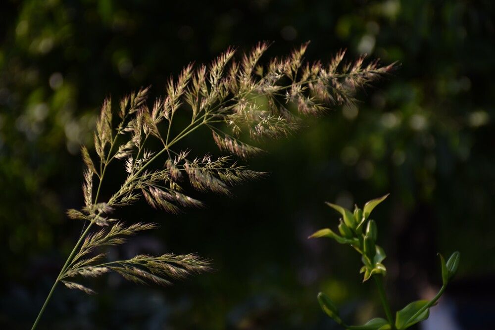 Photograph by Наталия Самкина