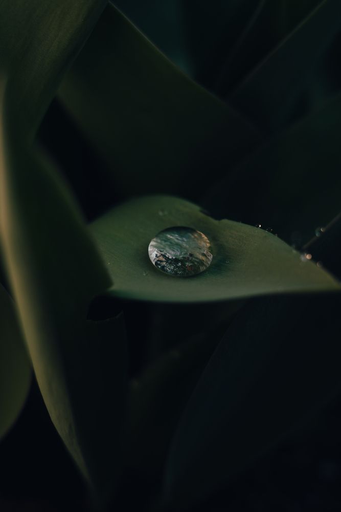 Photo #13623134