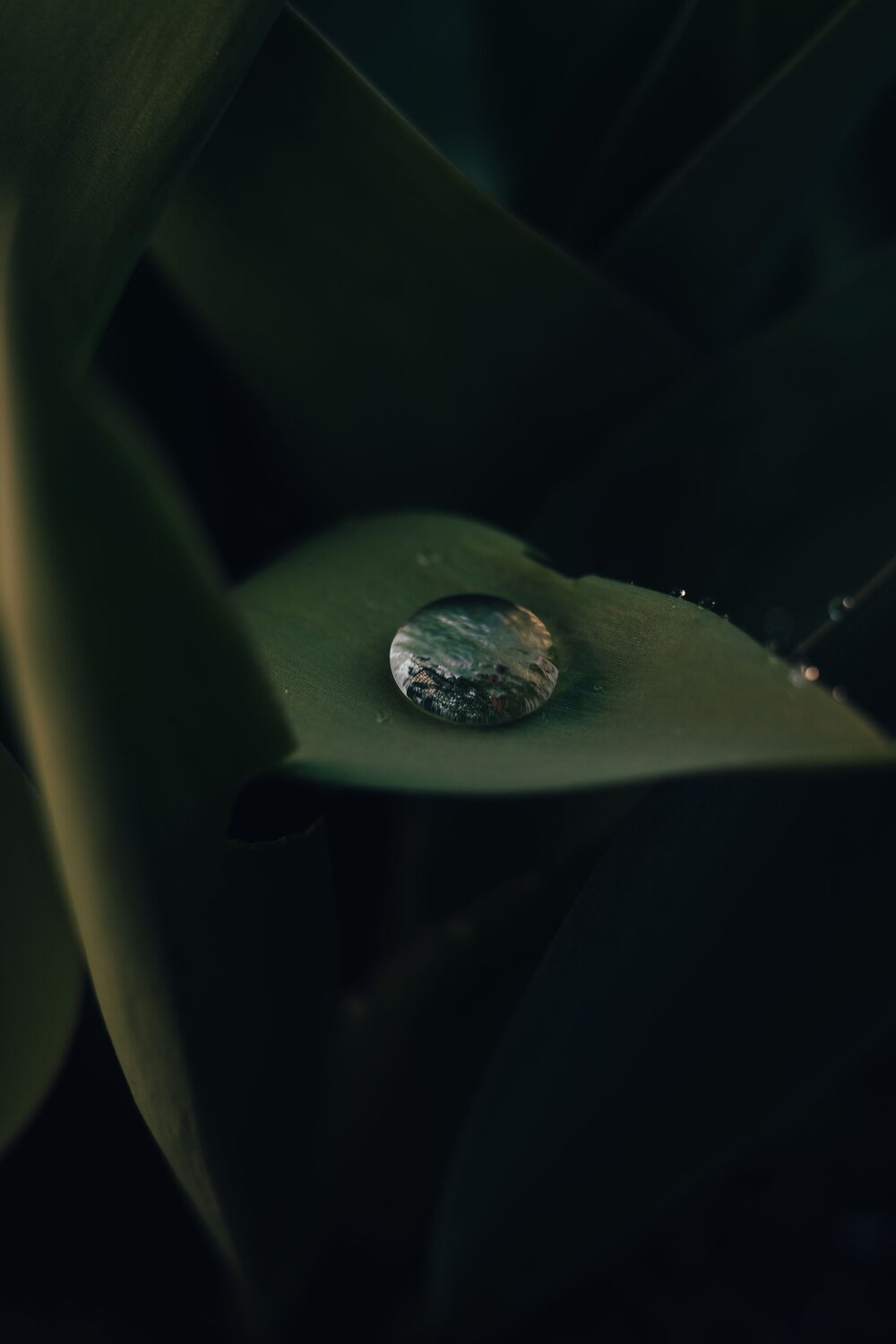 Photo #13623134