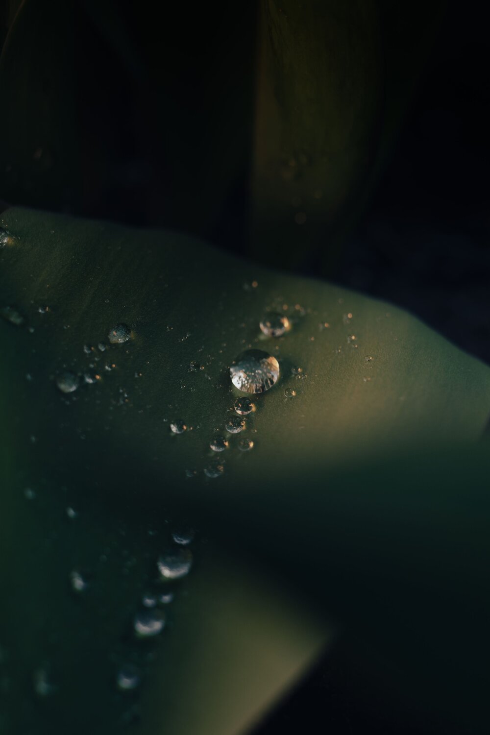 Photo #13623136