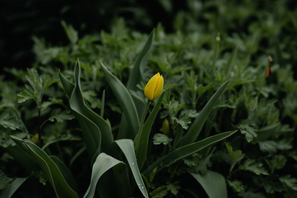 Photograph by Виталий Потапенок