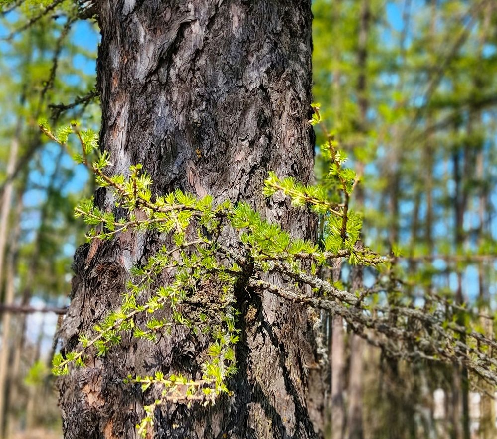Photograph by Елена Сухорученкова